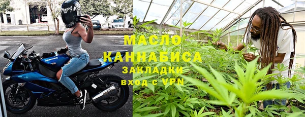 хмурый Дмитров
