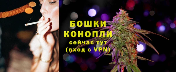 молекула духа Семёнов