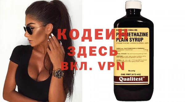 хмурый Дмитров