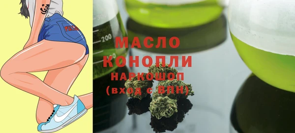 spice Дмитриев