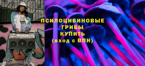 spice Дмитриев