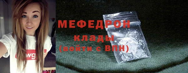 spice Дмитриев
