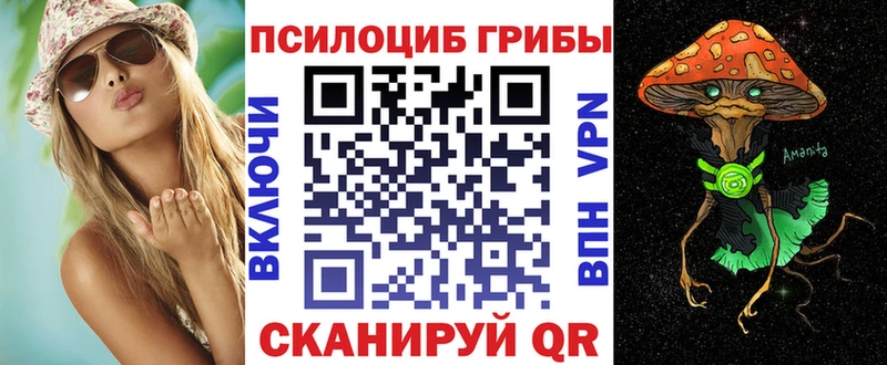 где продают наркотики  Новосиль  Псилоцибиновые грибы мицелий 